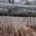 _RAF5056c ice.jpg
